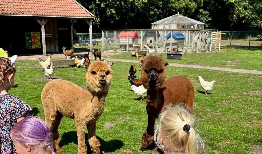 Zoektocht nieuwe bestuursleden kinderboerderij