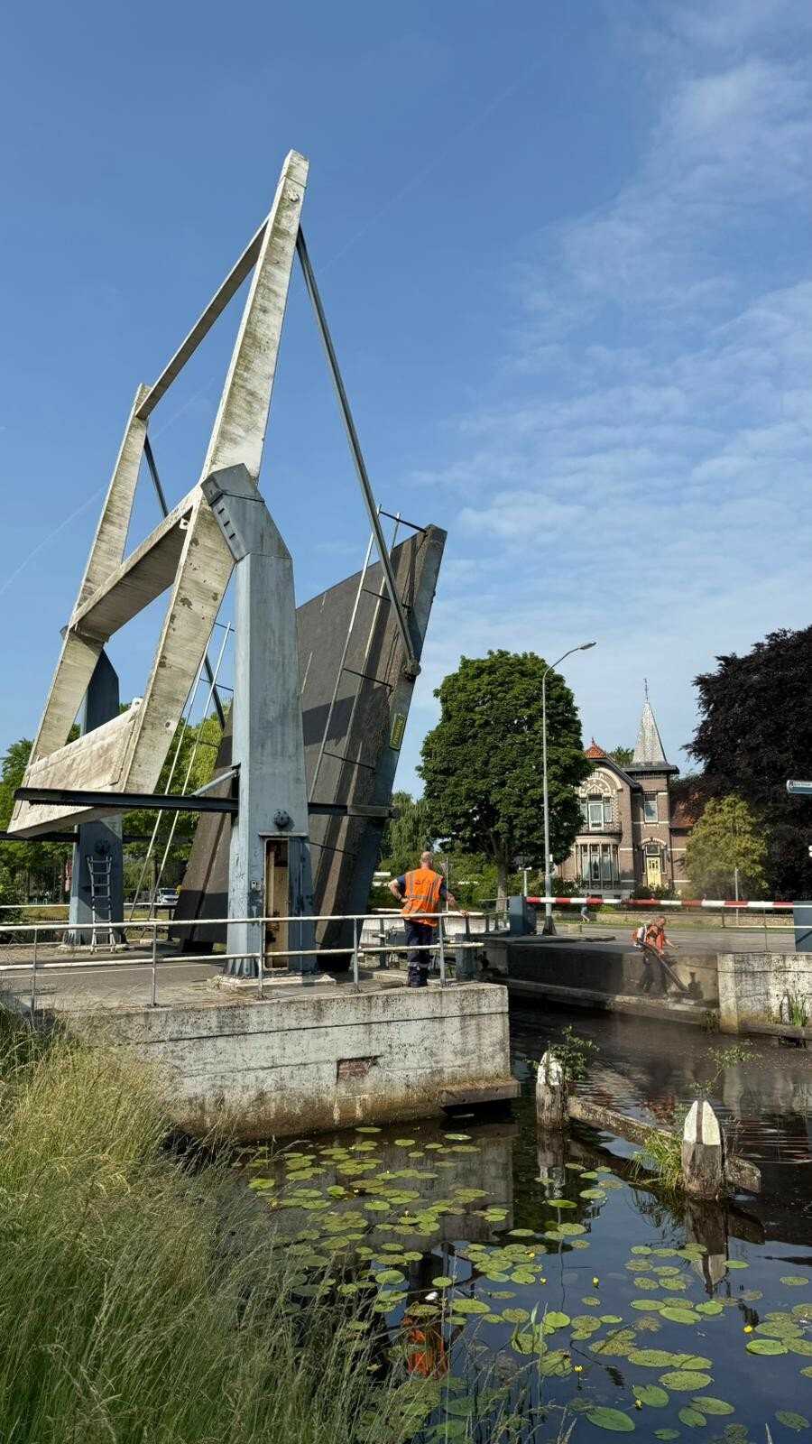 Freebrug