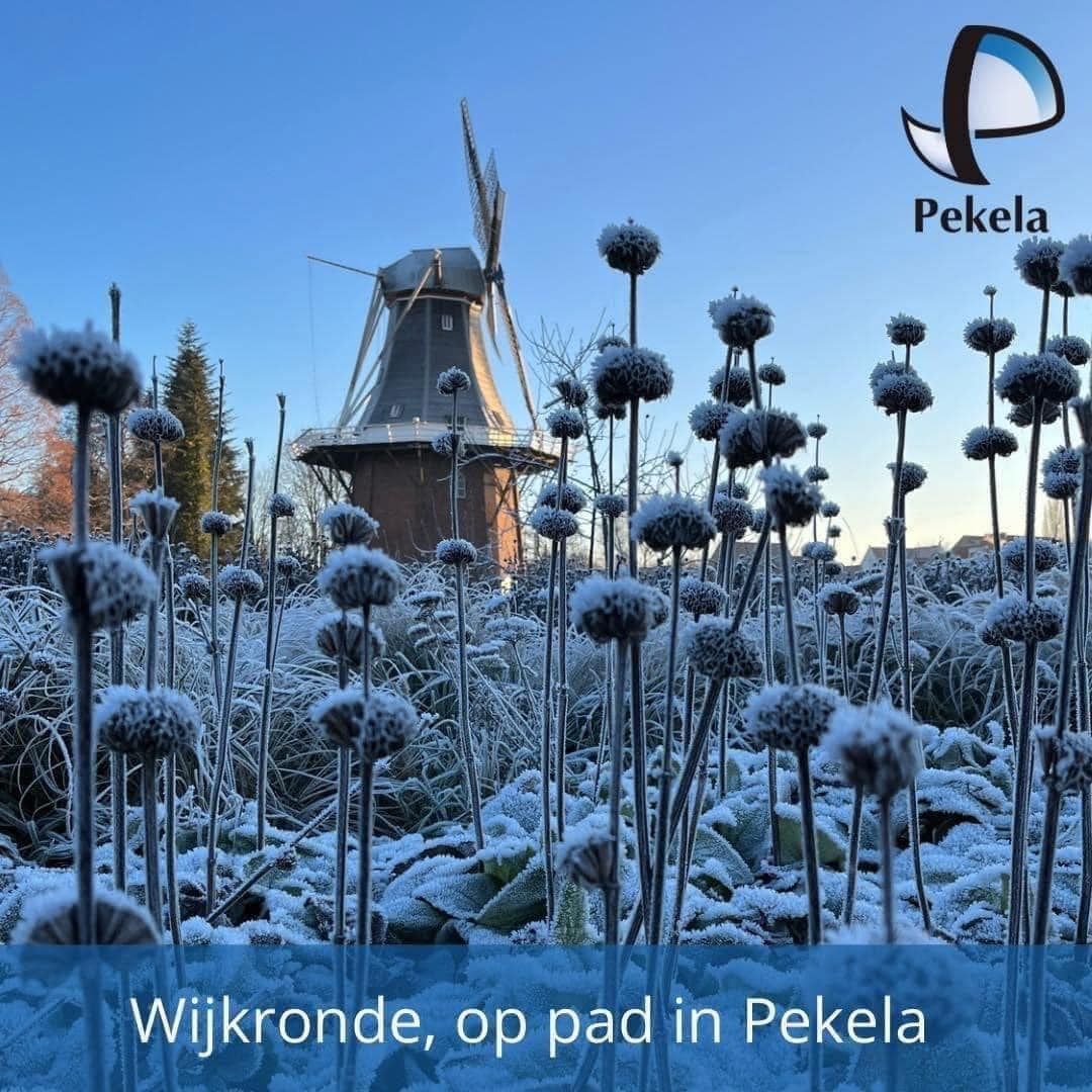 Wijkronde winter
